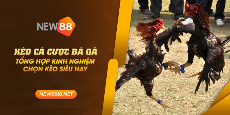 new88